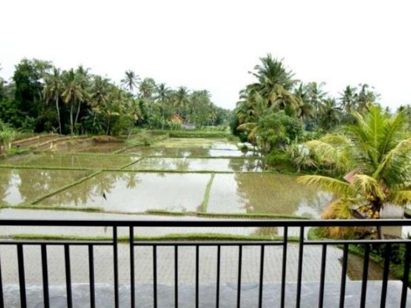 Bisma Cottages Ubud Exteriör bild