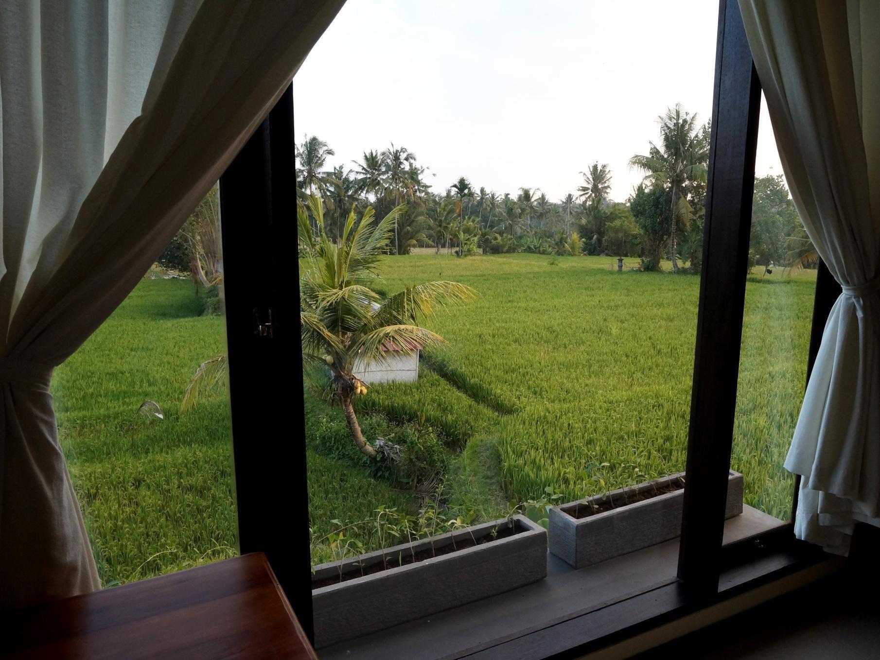 Bisma Cottages Ubud Exteriör bild